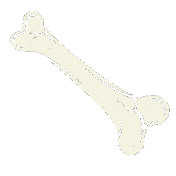 Bonebreak Logo